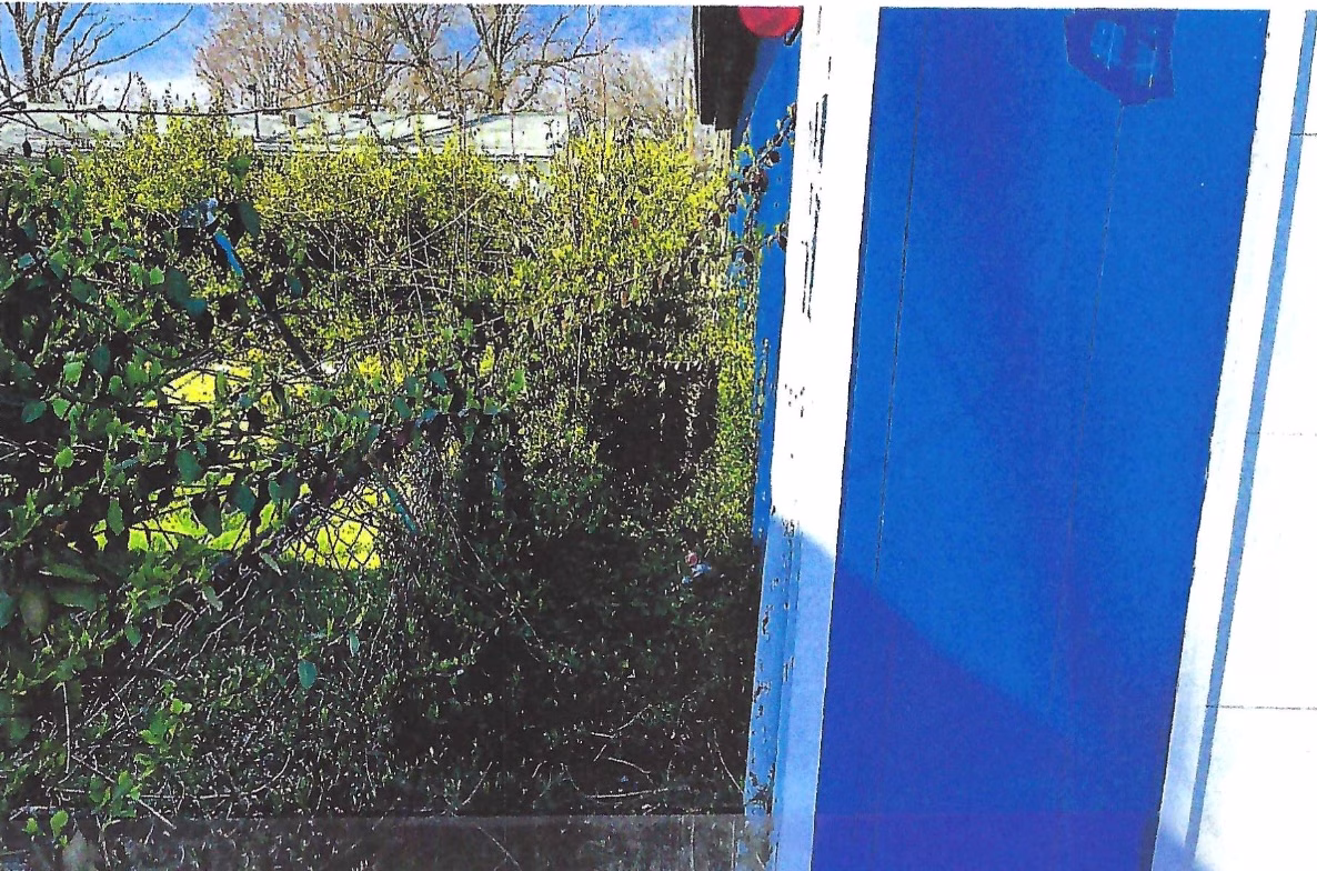 Fence Line Along 25th Street - Before