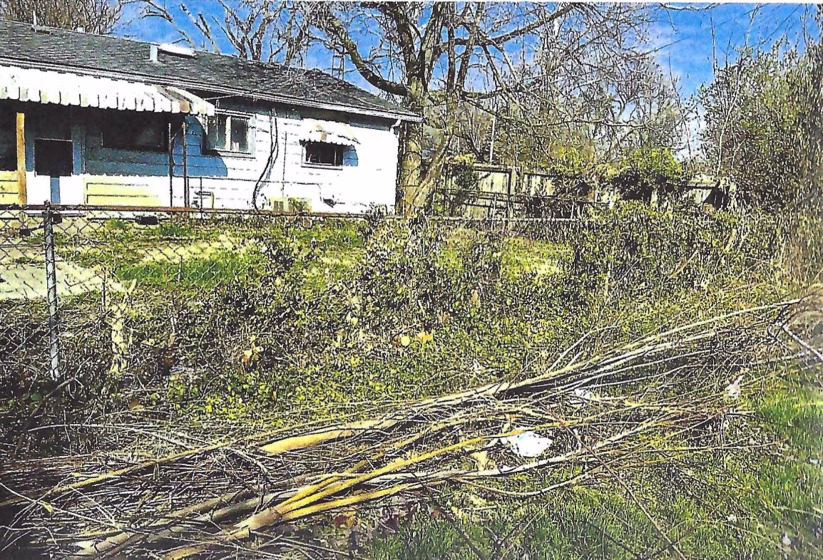 Fence Line Along 25th Street - Before