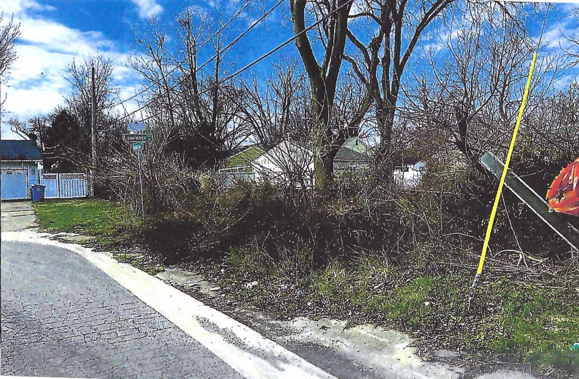 Christmas Seal - Before